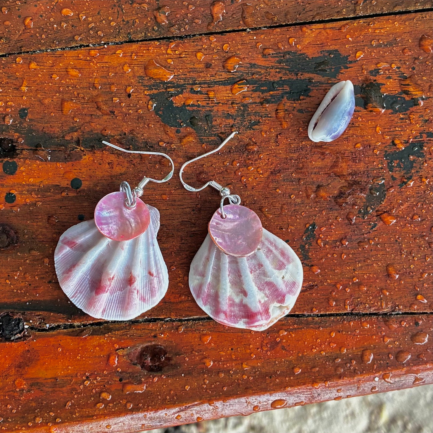 shell earrings