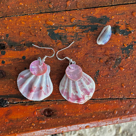 shell earrings