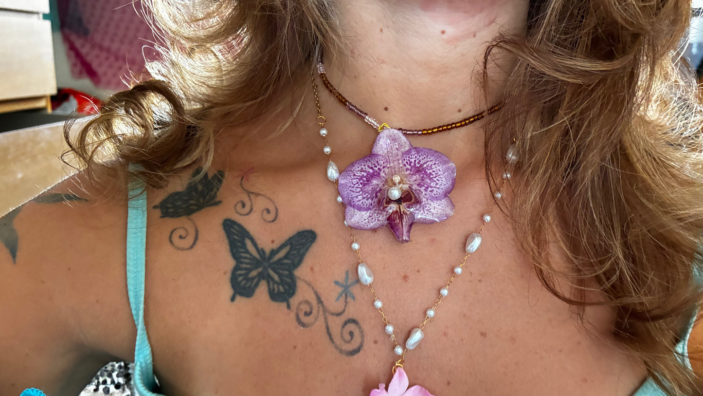 fairy orchid set